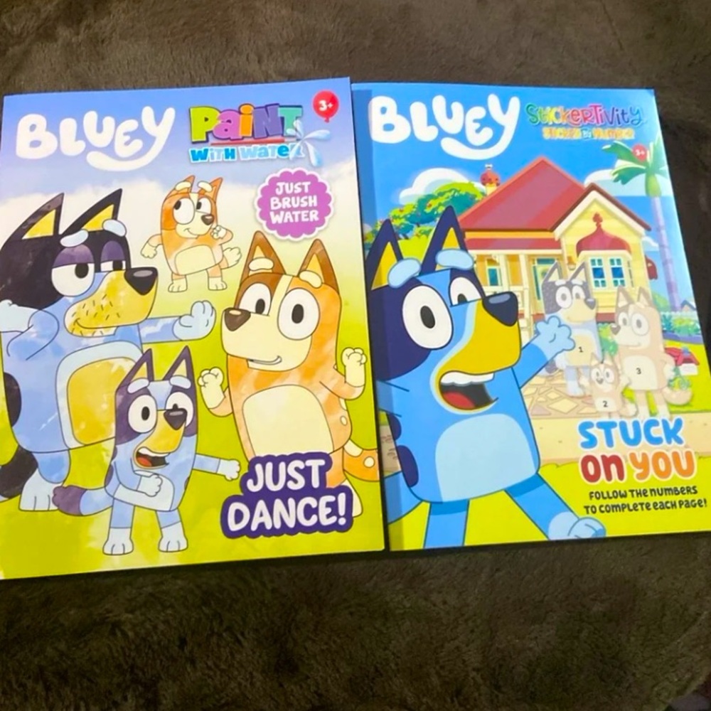 Bluey Set of Activity Books Stickers Book and Paint with Water NWT